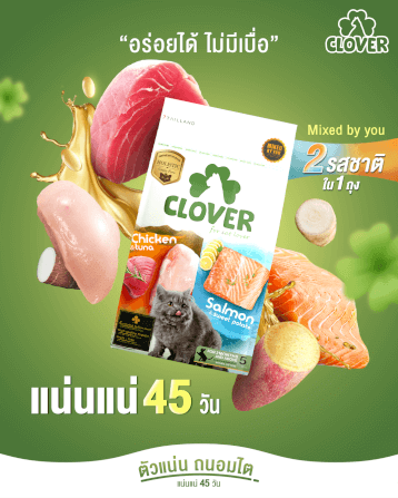อาหารแมว CLOVER สูตร MIX BY YOU รสไก่กับทูน่า และแซลมอน เกรด HOLISTIC GRAIN-FREE โซเดียมต่ำ (400 G)_10